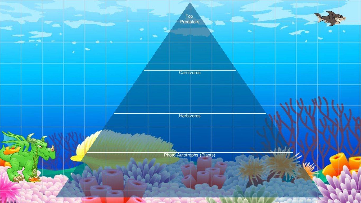 Ocean Ecological Pyramid - TEMPLATE