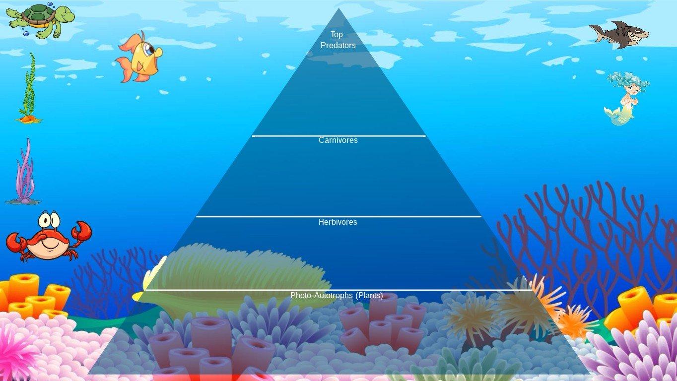 Ocean Ecological Pyramid - TEMPLATE