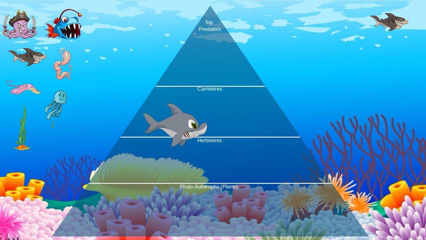 Ocean Ecological Pyramid - TEMPLATE