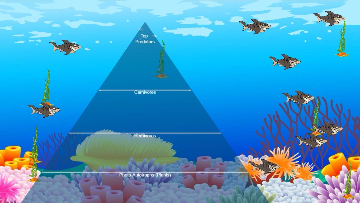 Ocean Ecological Pyramid - TEMPLATE