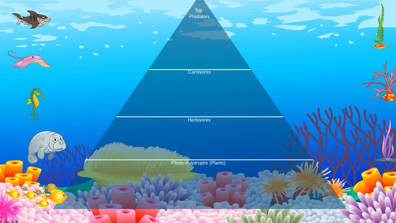 Ocean Ecological Pyramid - TEMPLATE