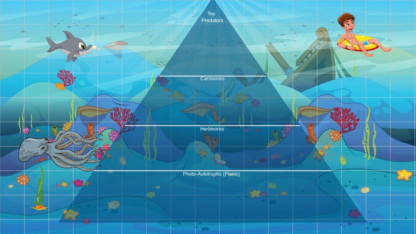 Ocean Ecological Pyramid - TEMPLATE