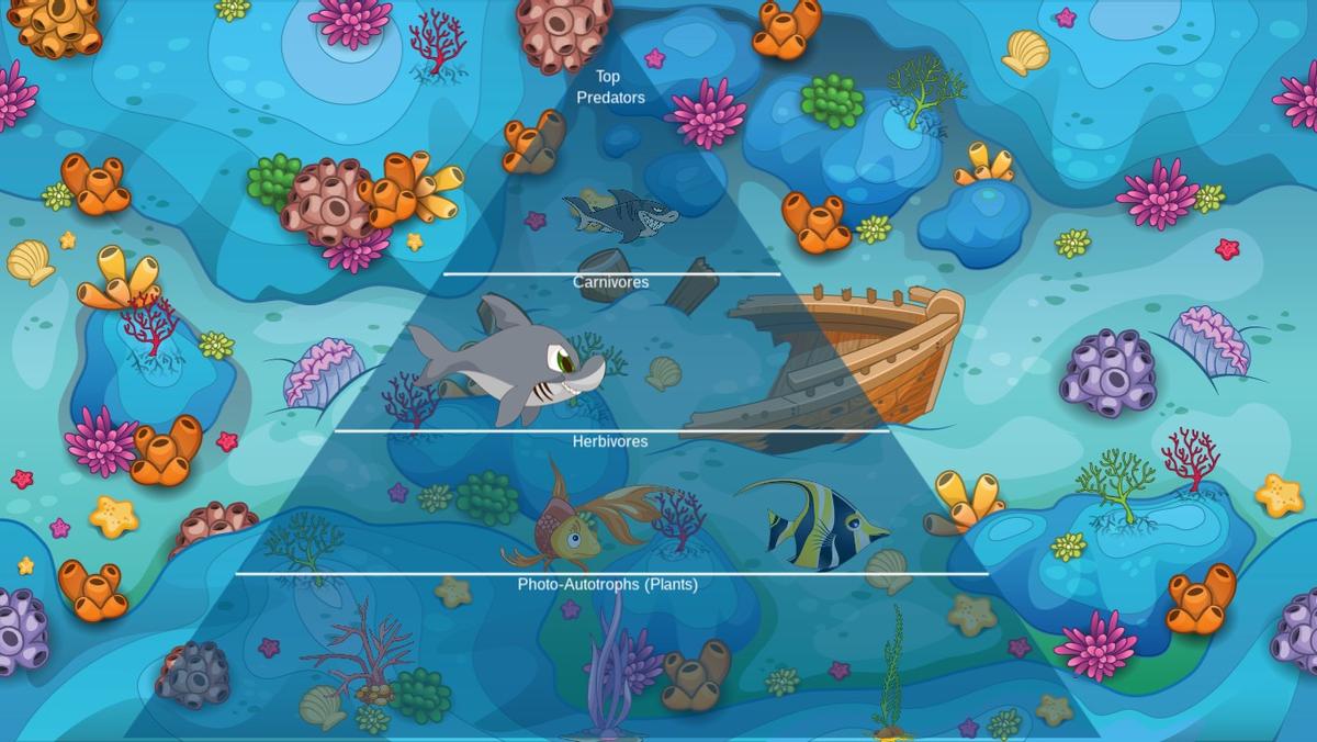 Ocean Ecological Pyramid - TEMPLATE