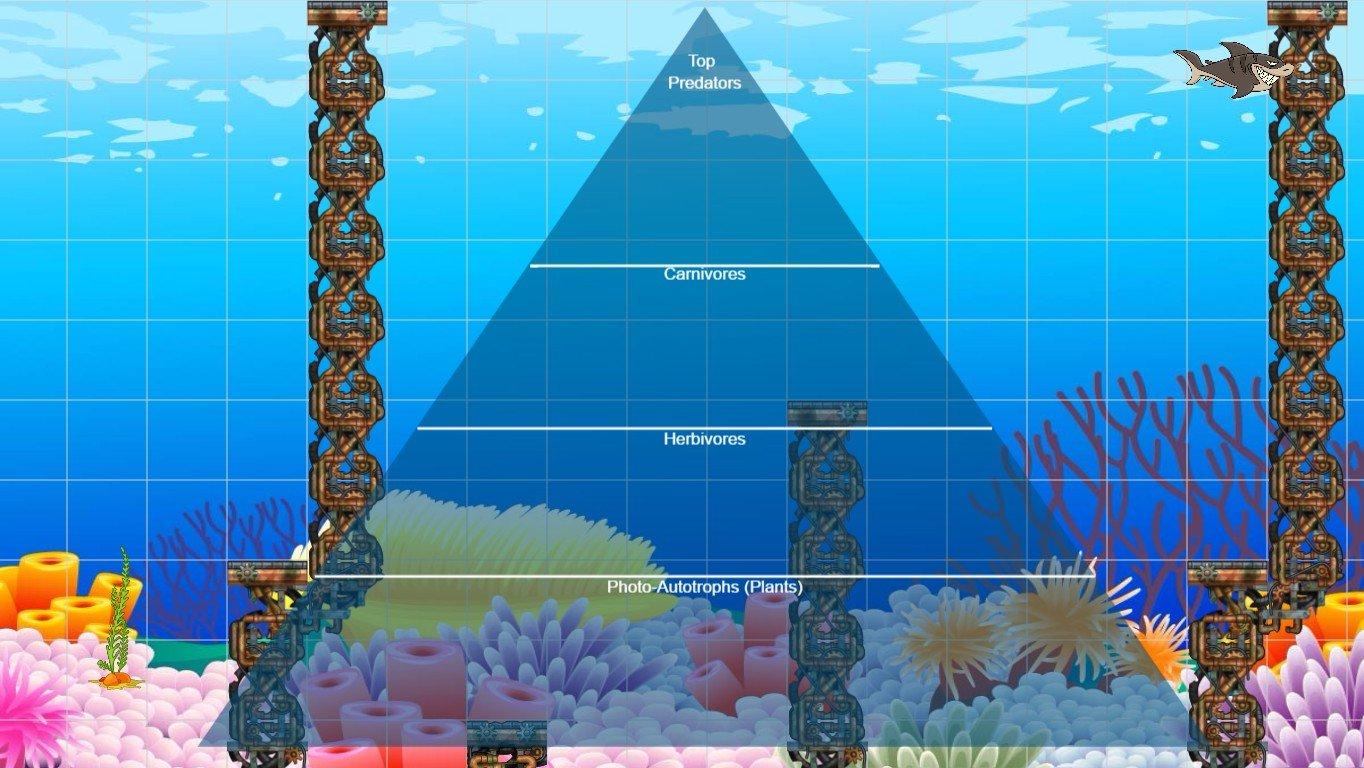 Ocean Ecological Pyramid - TEMPLATE