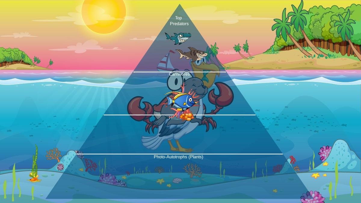 Ocean Ecological Pyramid - TEMPLATE