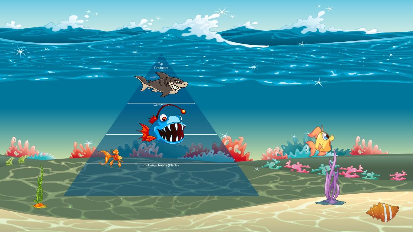 Ocean Ecological Pyramid - TEMPLATE