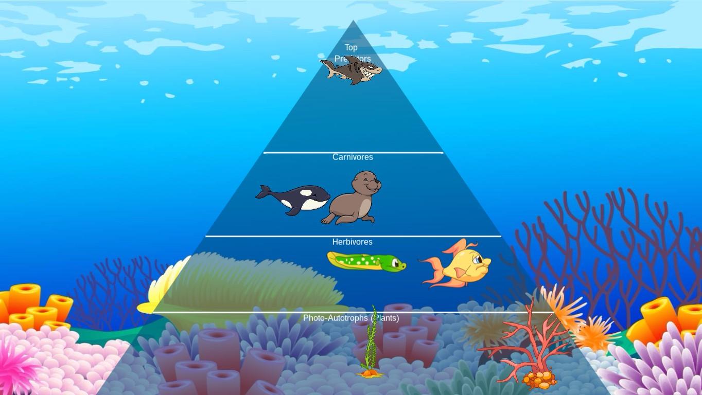 Ocean Ecological Pyramid - TEMPLATE