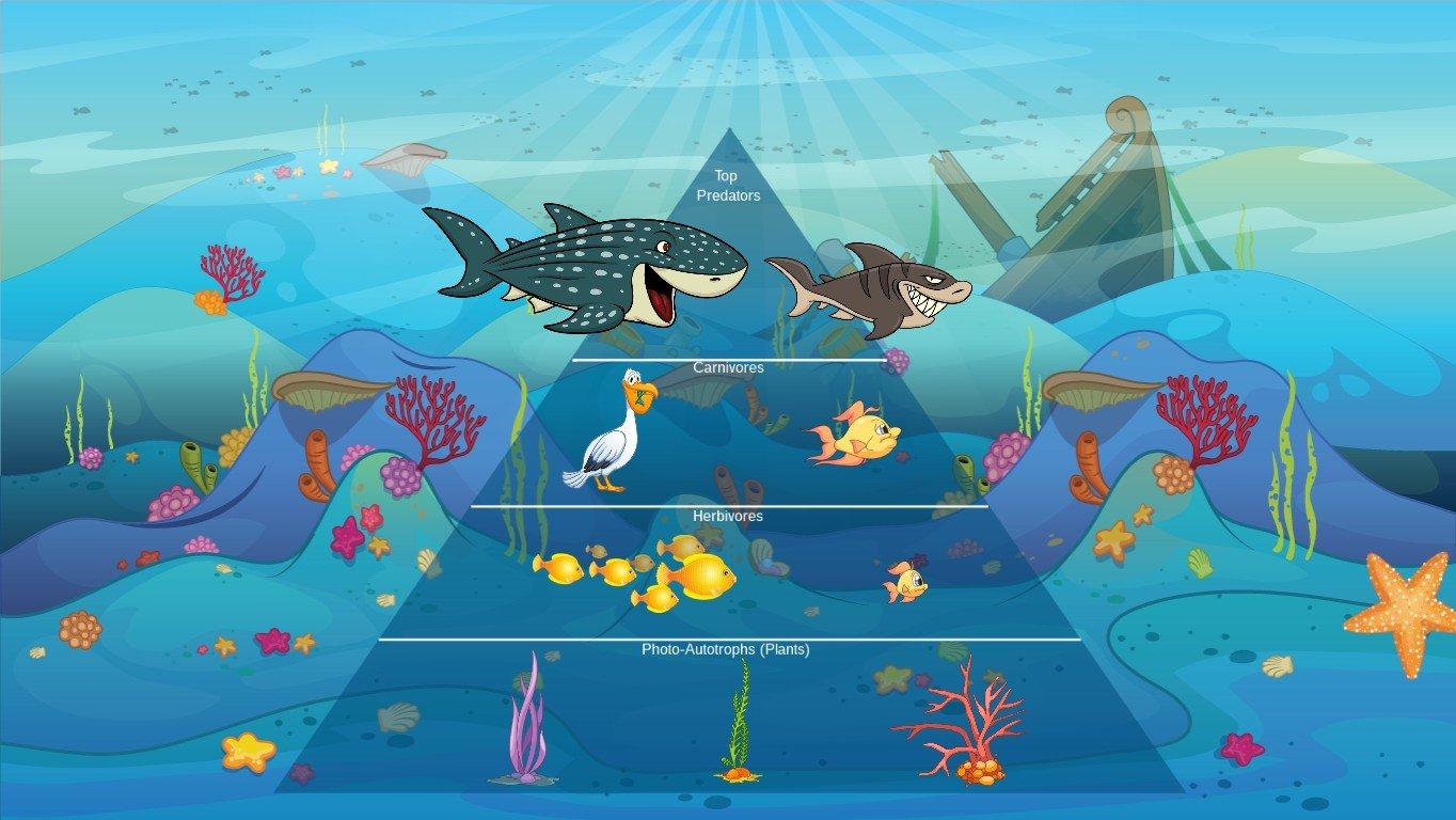 Ocean Ecological Pyramid - TEMPLATE