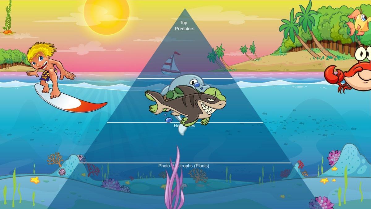 Ocean Ecological Pyramid - TEMPLATE