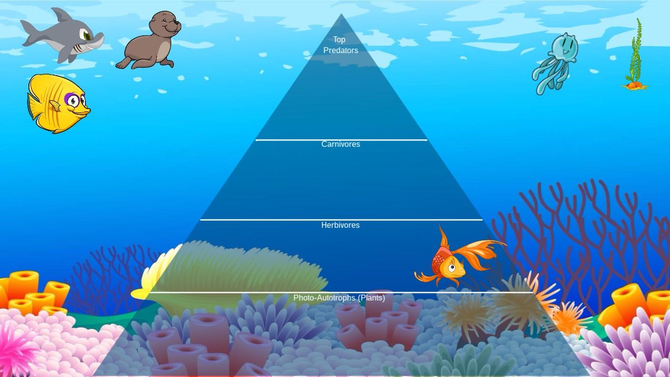 Ocean Ecological Pyramid - TEMPLATE