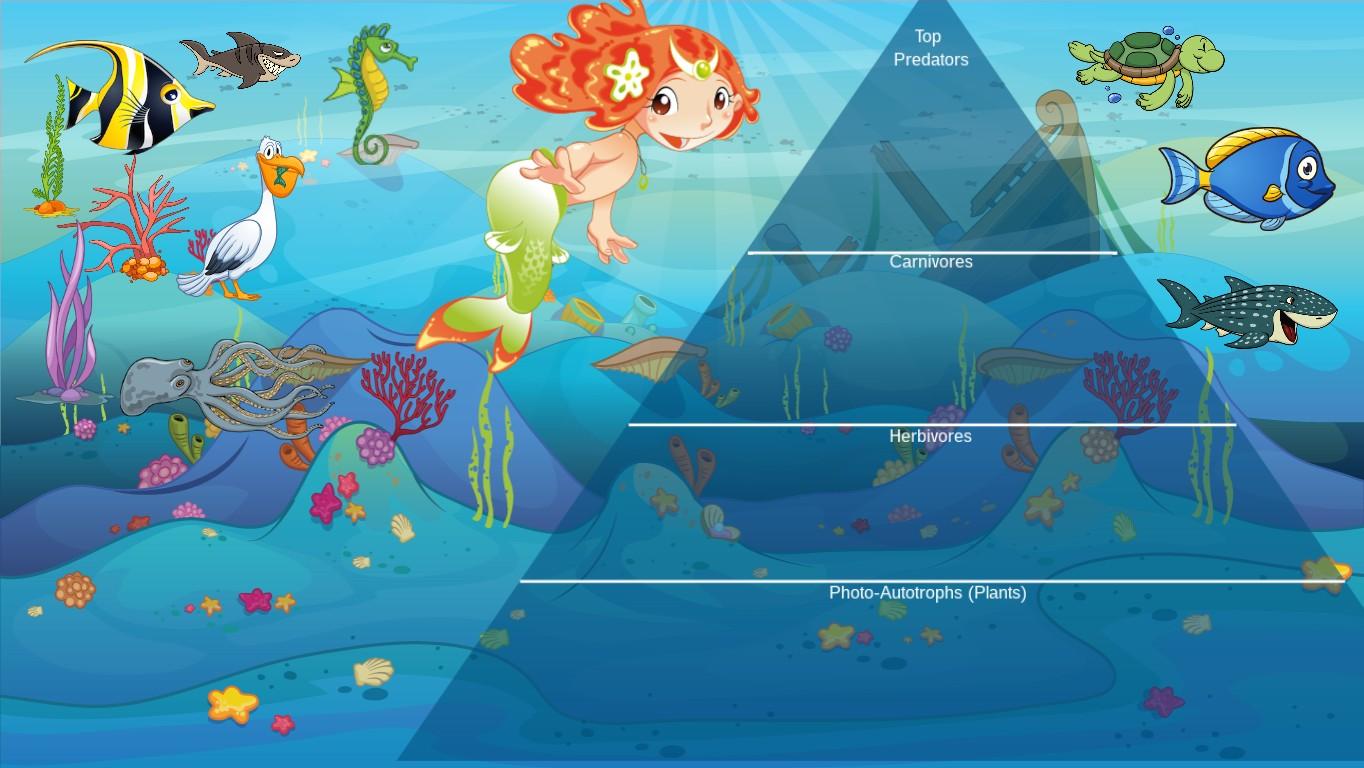 Ocean Ecological Pyramid - TEMPLATE