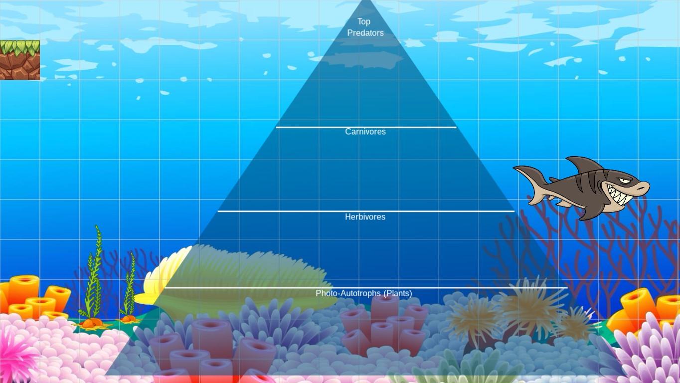 Ocean Ecological Pyramid - TEMPLATE