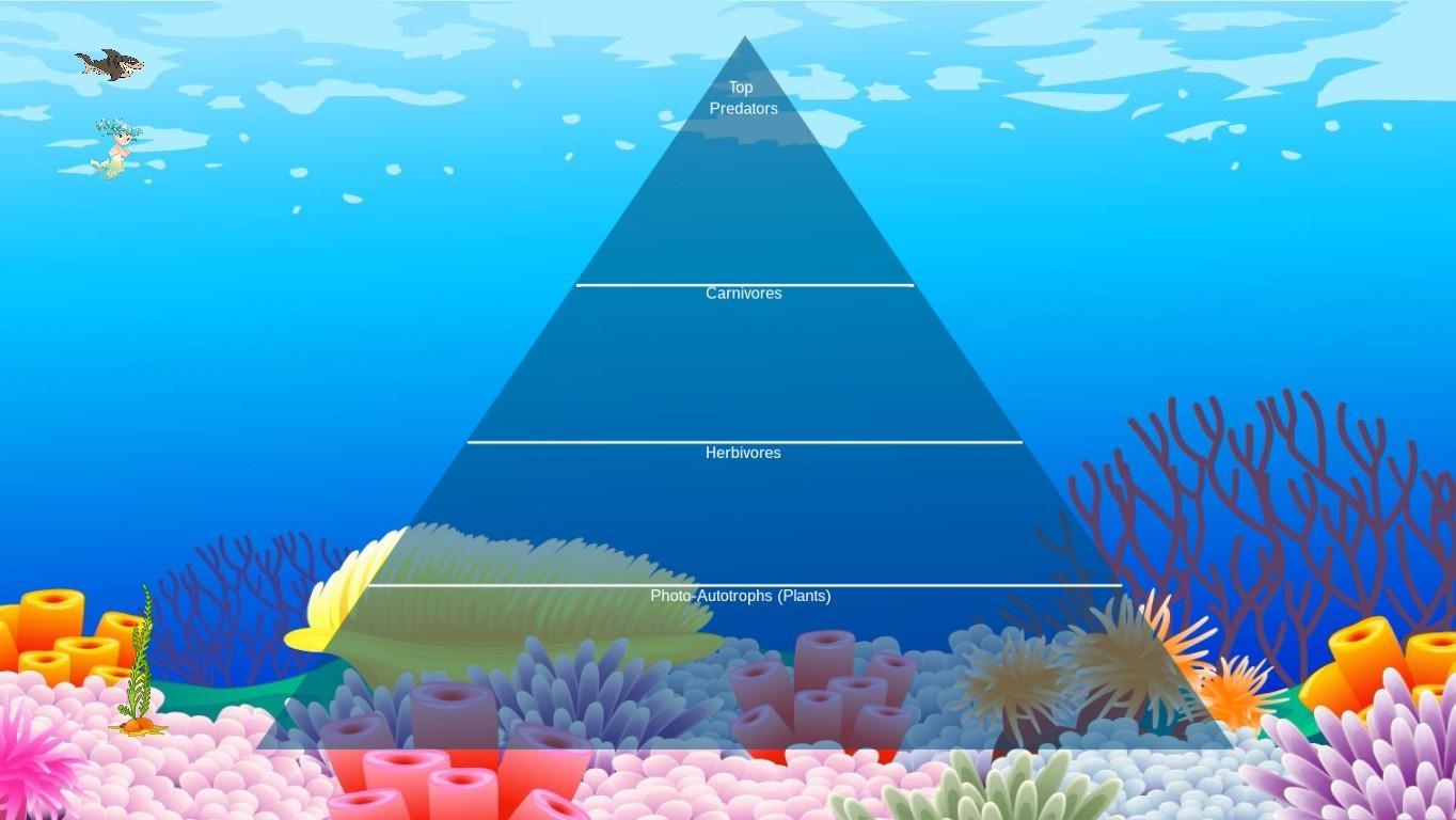 Ocean Ecological Pyramid - TEMPLATE