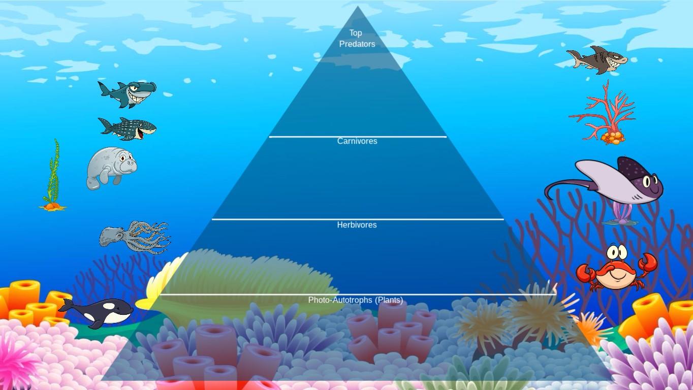 Ocean Ecological Pyramid - TEMPLATE