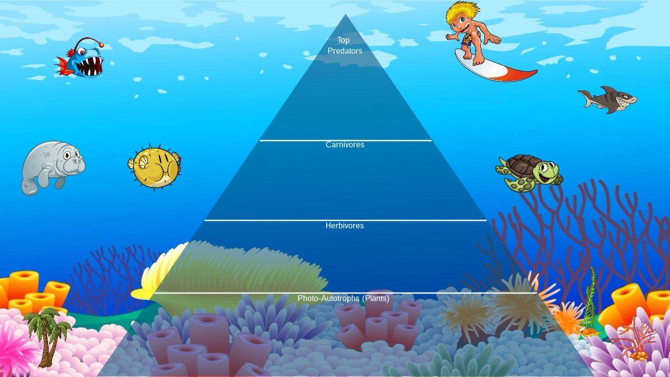 Ocean Ecological Pyramid - TEMPLATE