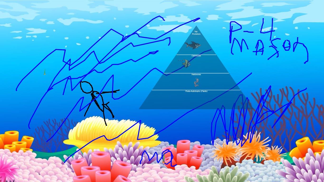 Ocean Ecological Pyramid - TEMPLATE