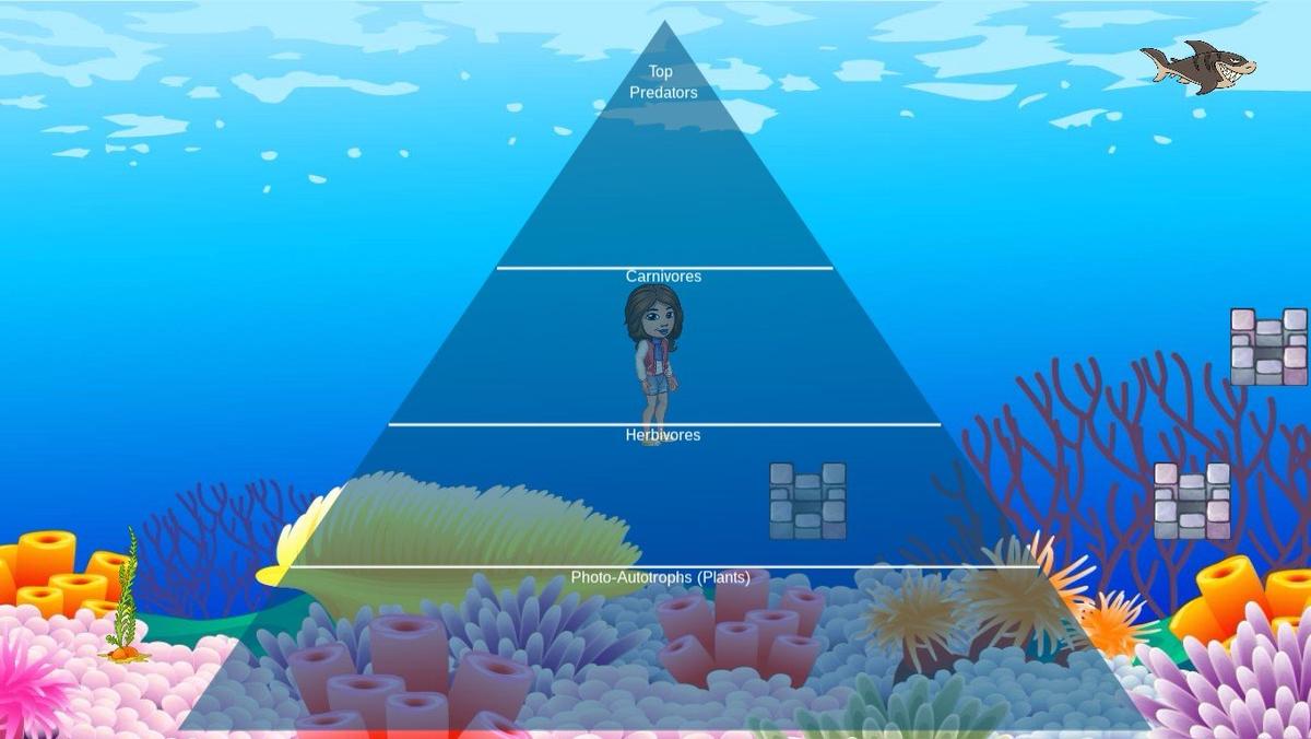 Ocean Ecological Pyramid - TEMPLATE