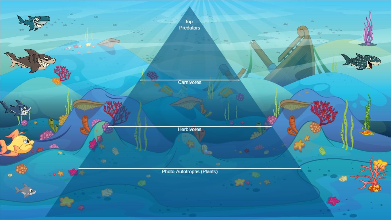 Ocean Ecological Pyramid - TEMPLATE