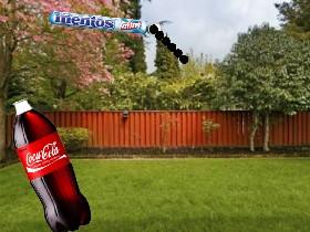 mentos in coke 5