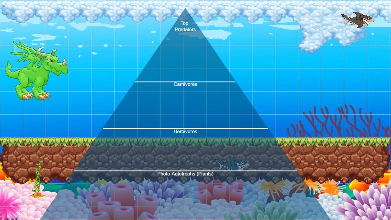 Ocean Ecological Pyramid - TEMPLATE