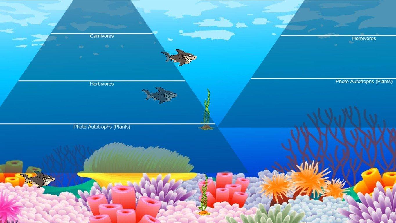 Ocean Ecological Pyramid - TEMPLATE