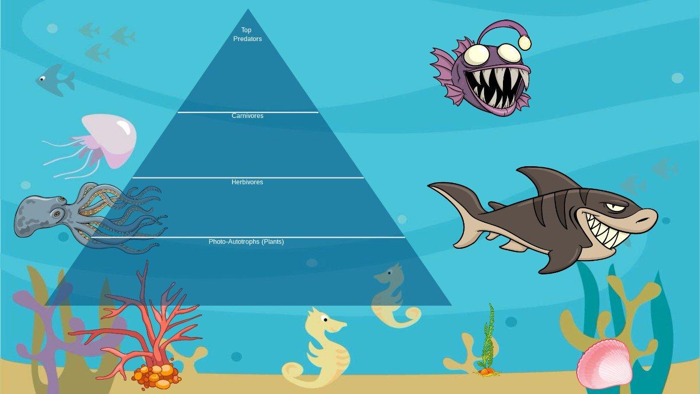 Ocean Ecological Pyramid - TEMPLATE