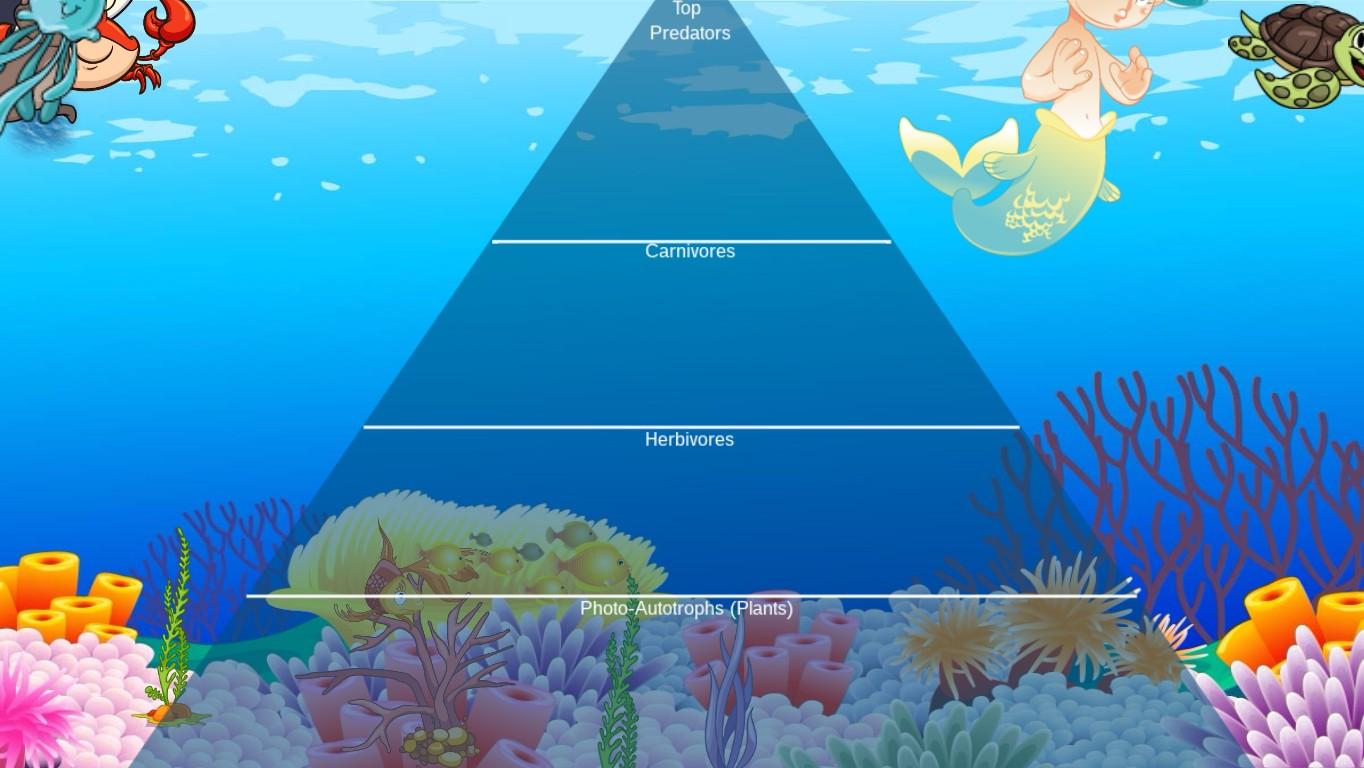 Ocean Ecological Pyramid - TEMPLATE