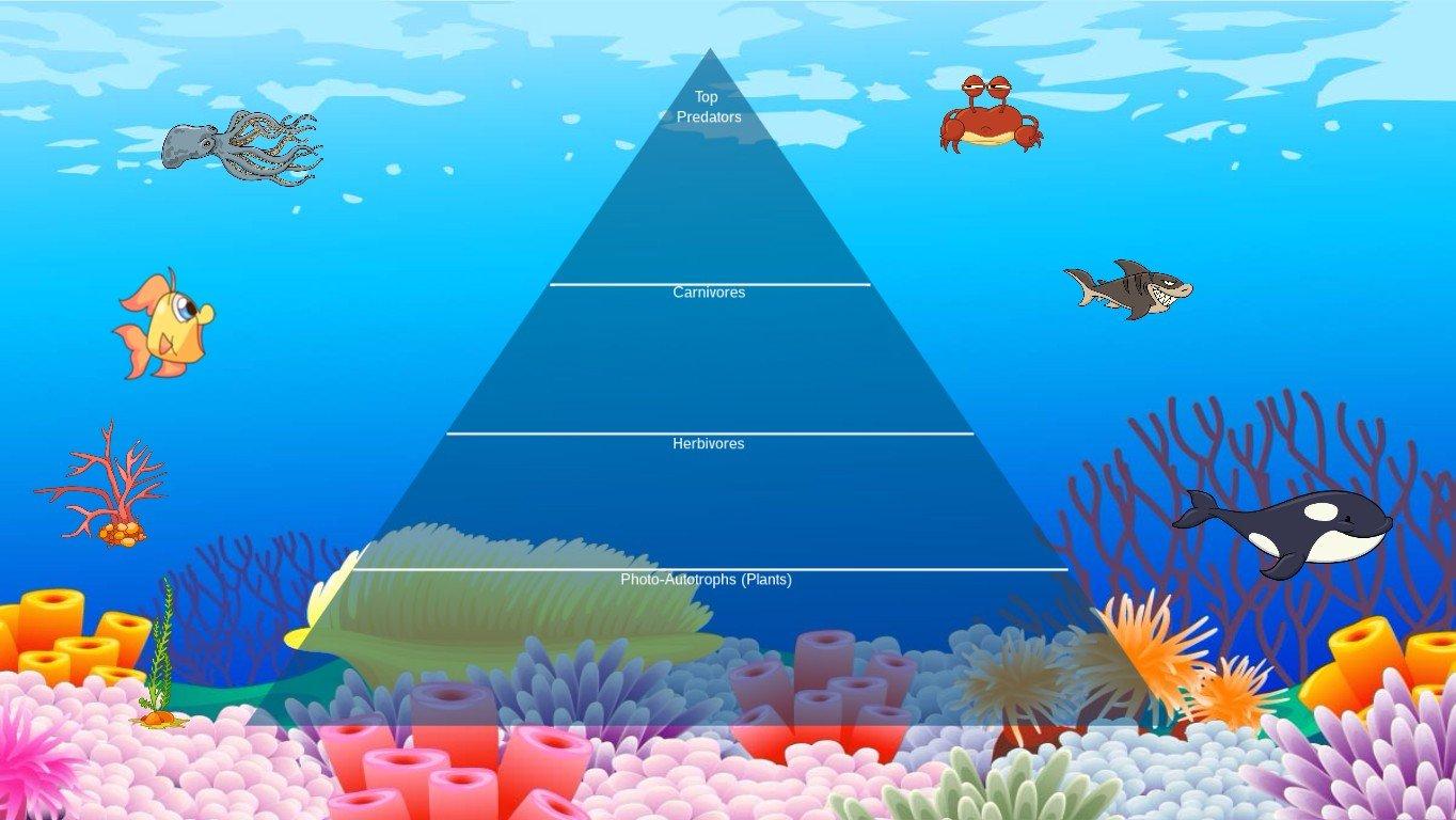 Ocean Ecological Pyramid - TEMPLATE