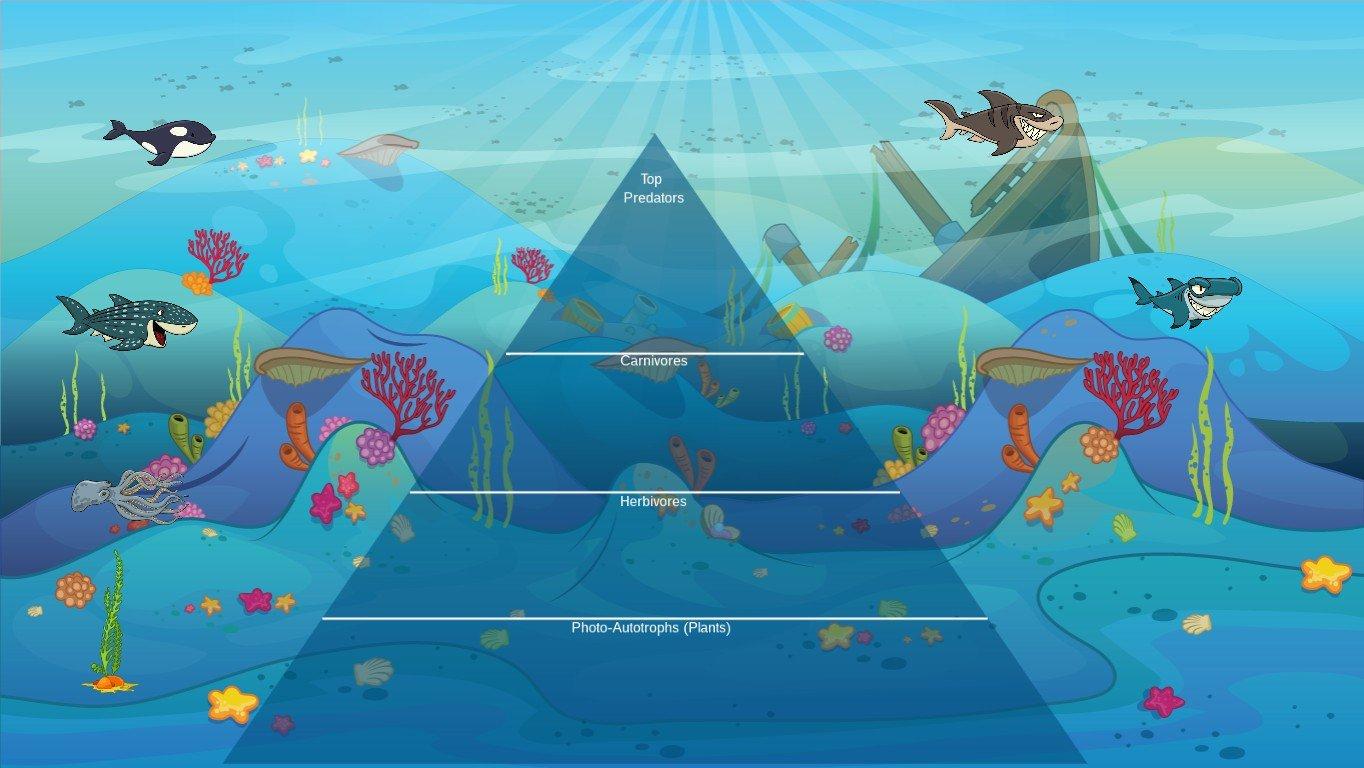 Ocean Ecological Pyramid - TEMPLATE