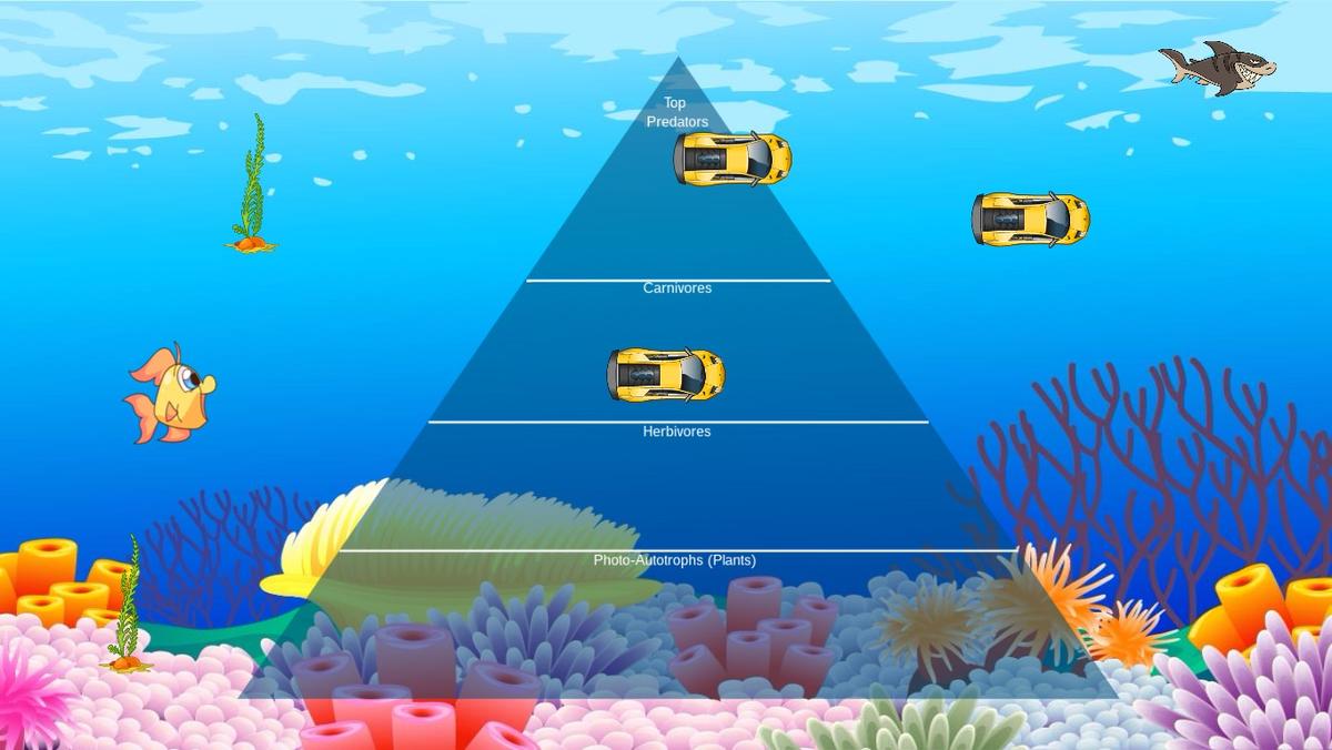 Ocean Ecological Pyramid - TEMPLATE