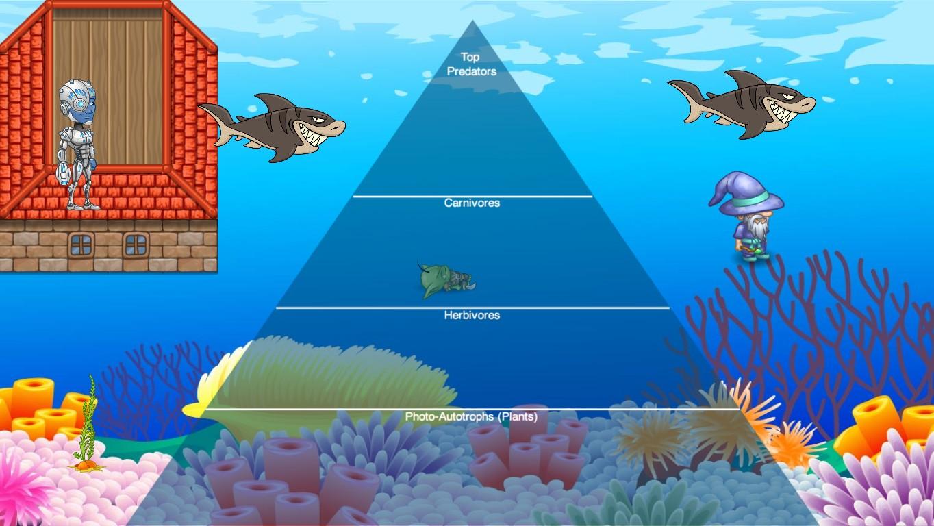 Ocean Ecological Pyramid - TEMPLATE