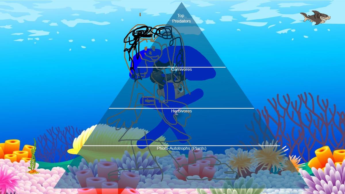 Ocean Ecological Pyramid - TEMPLATE