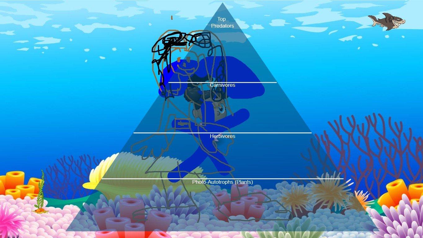 Ocean Ecological Pyramid - TEMPLATE