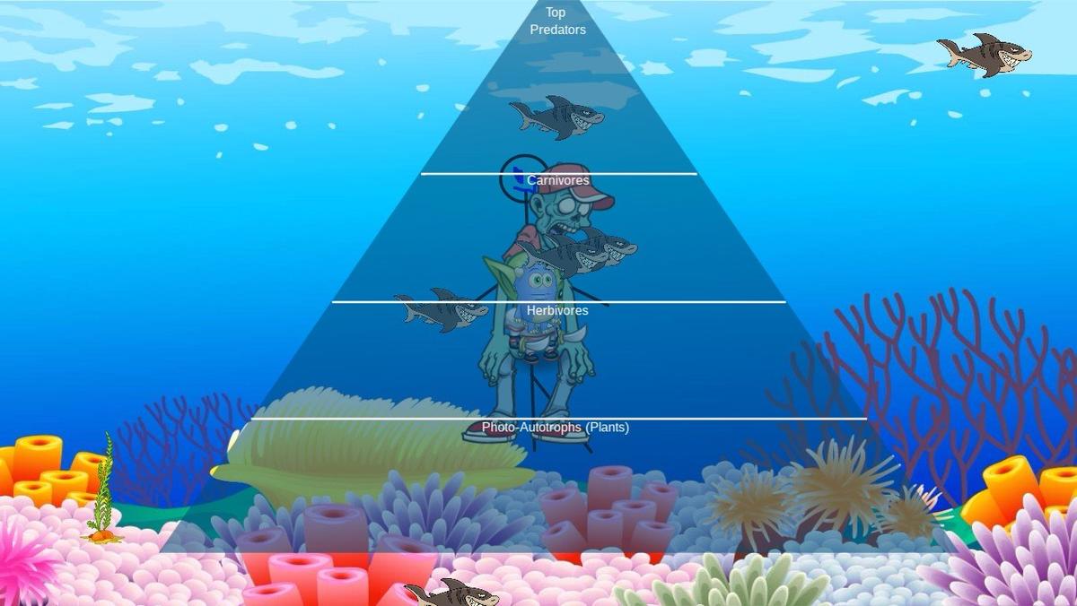 Ocean Ecological Pyramid - TEMPLATE