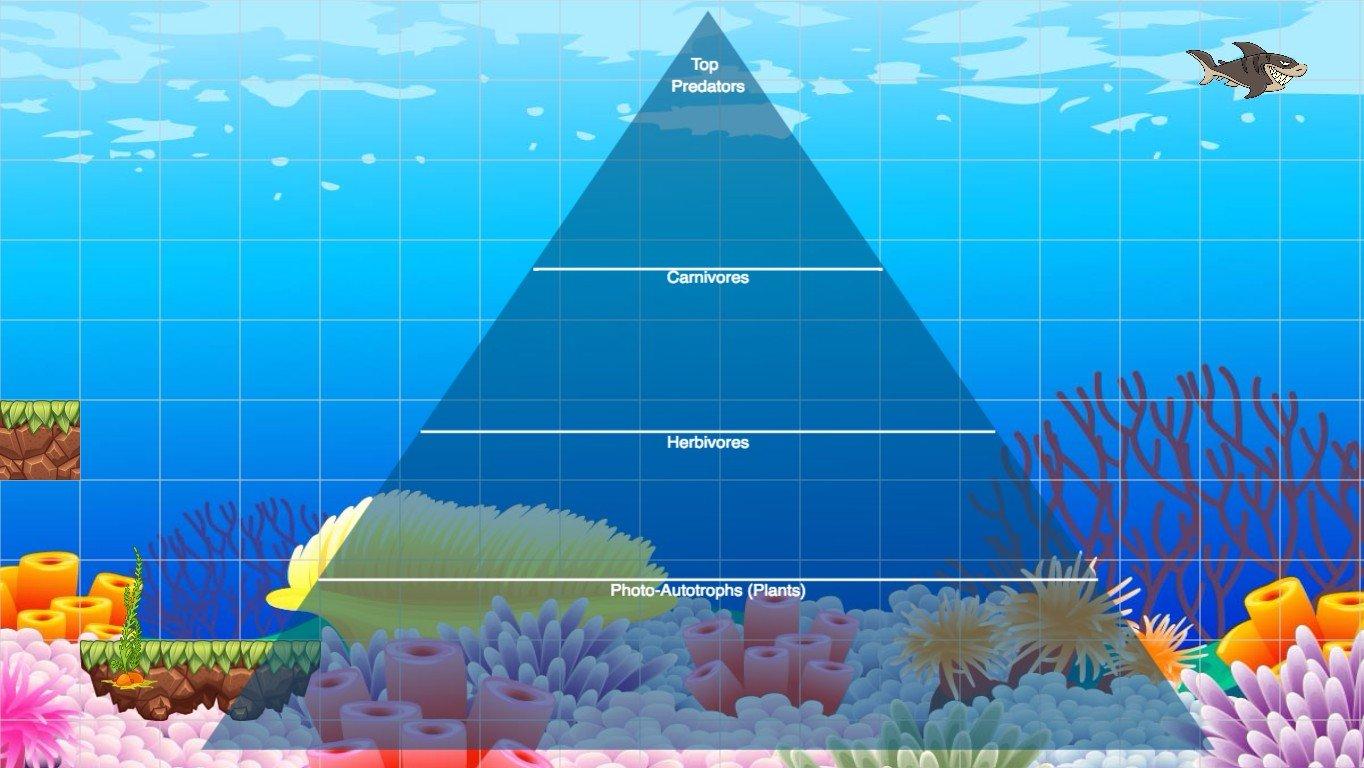 Ocean Ecological Pyramid - TEMPLATE