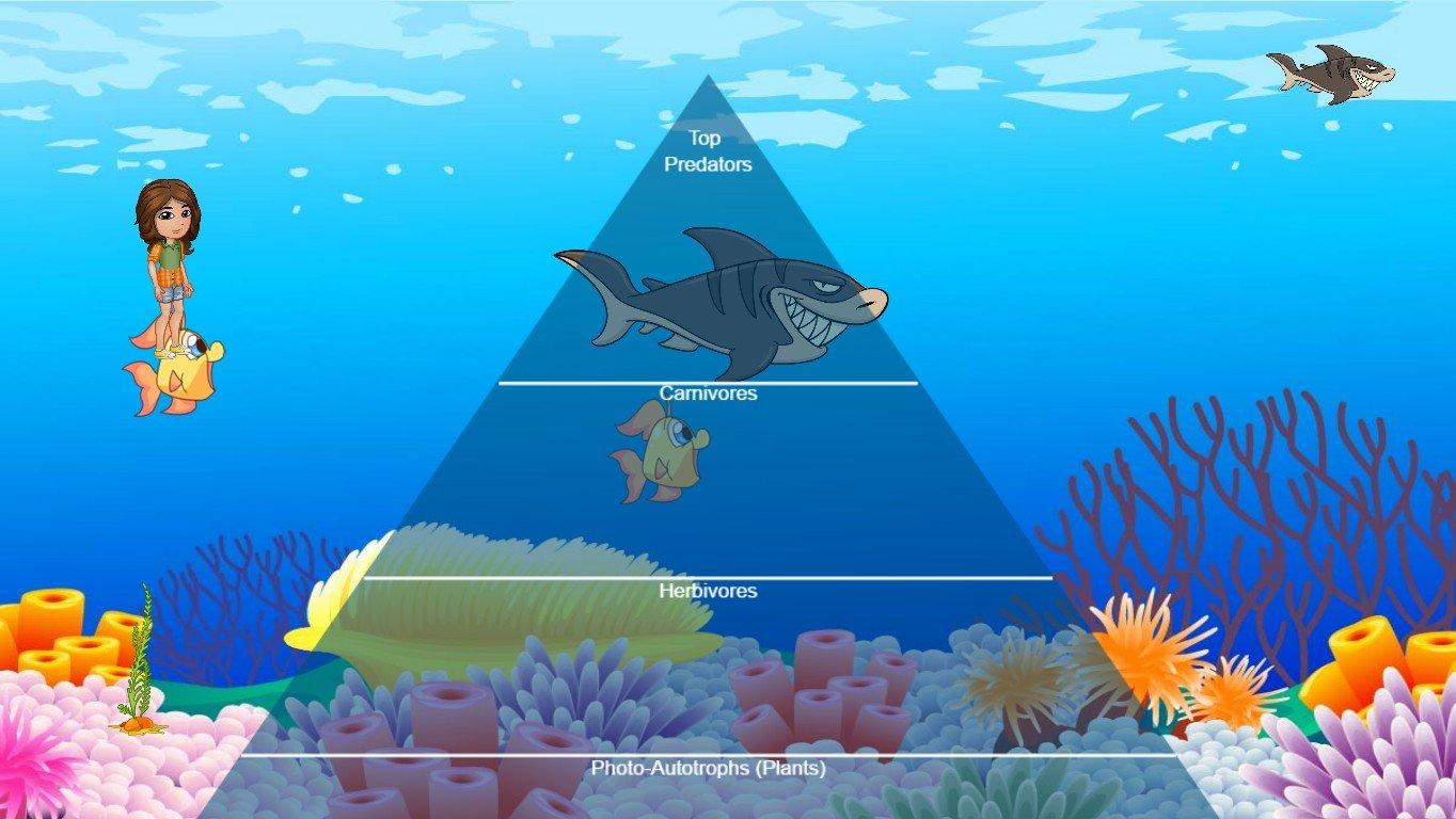 Ocean Ecological Pyramid - TEMPLATE