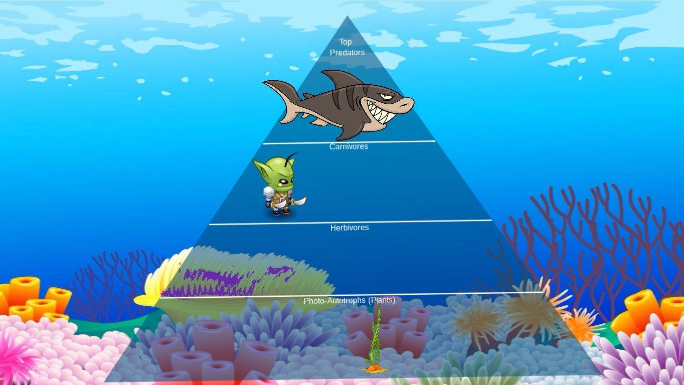 Ocean Ecological Pyramid - TEMPLATE