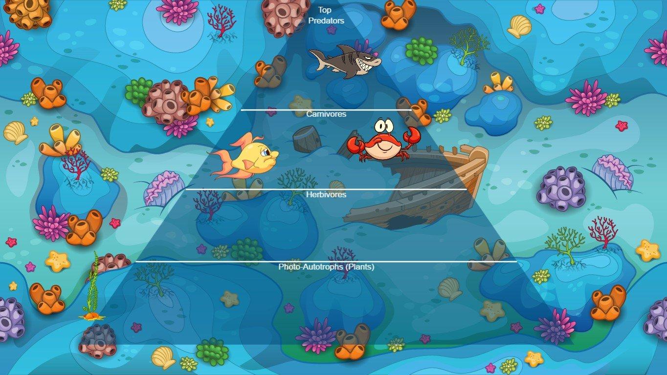 Ocean Ecological Pyramid - TEMPLATE