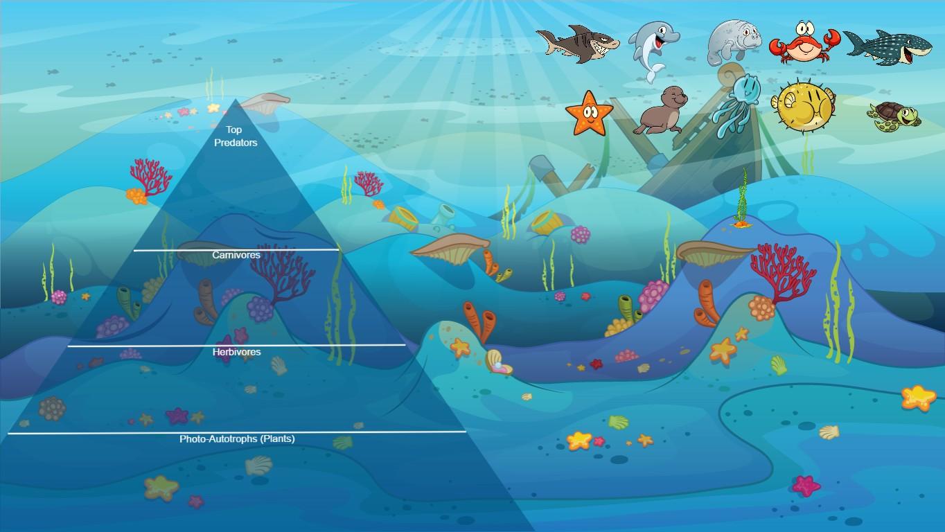 Ocean Ecological Pyramid - TEMPLATE