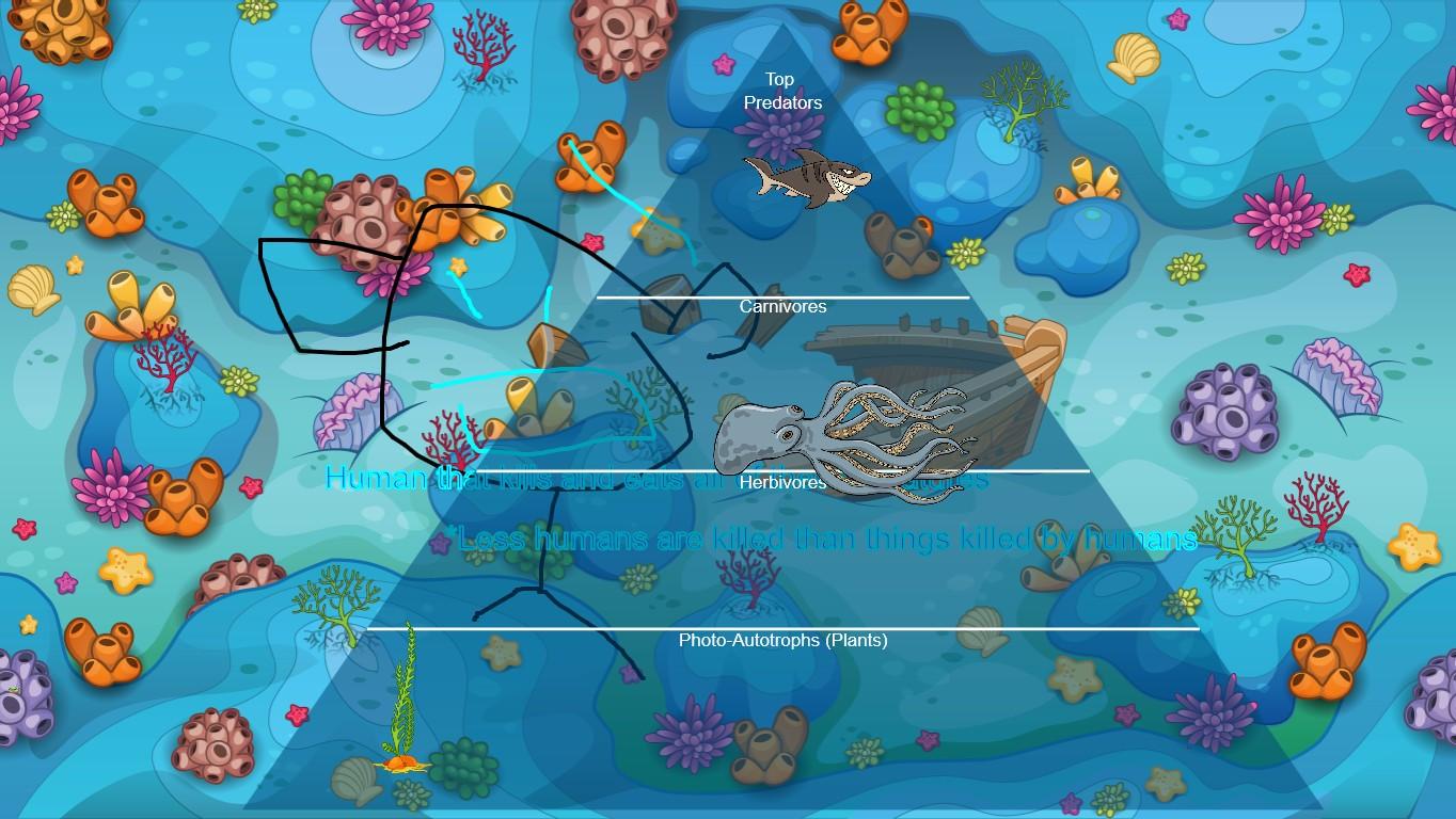 Ocean Ecological Pyramid - TEMPLATE