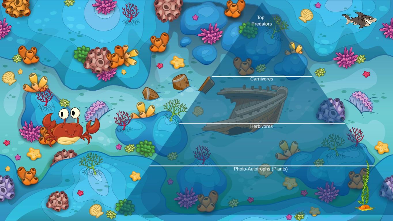 Ocean Ecological Pyramid - TEMPLATE