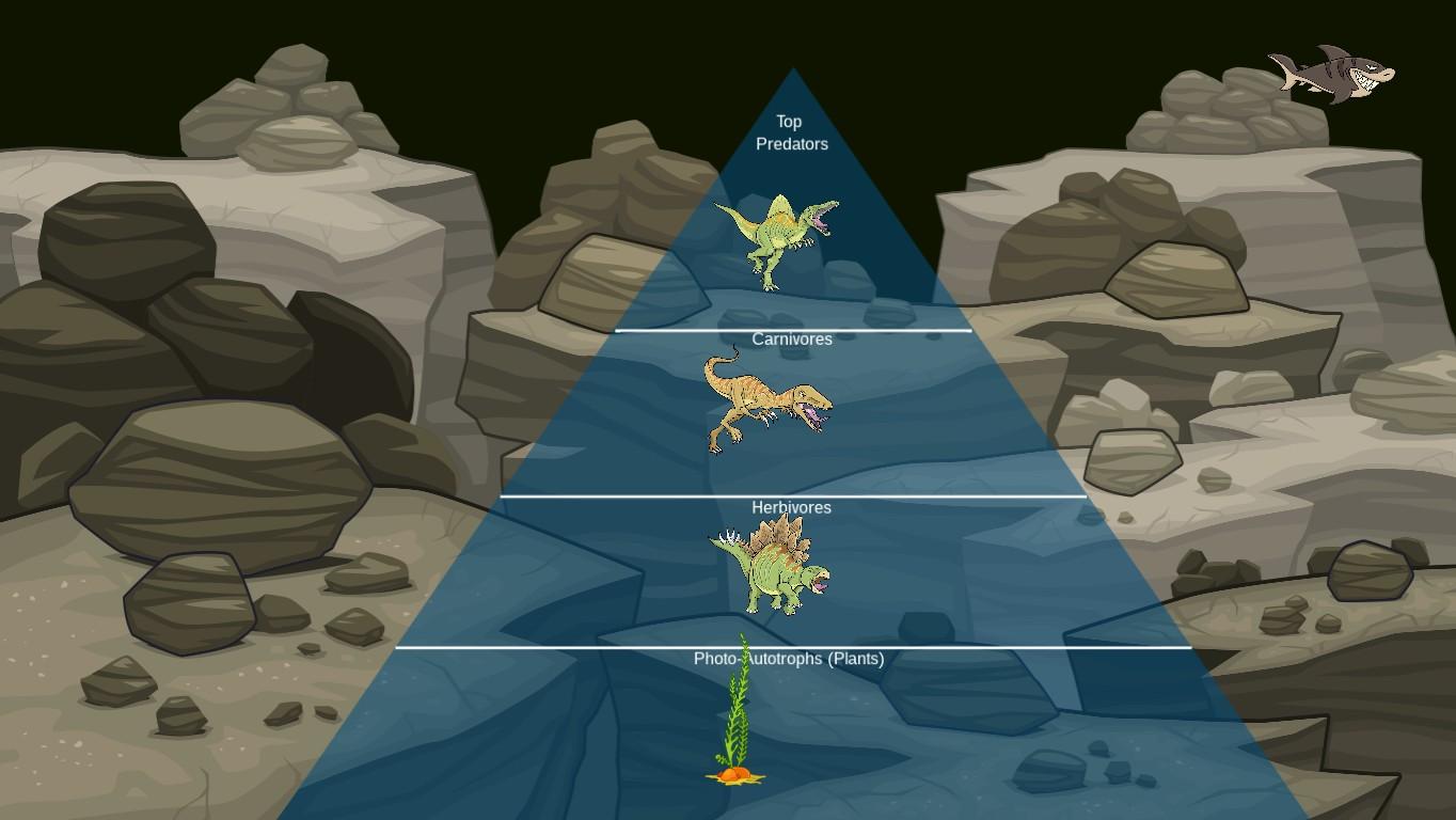 Ocean Ecological Pyramid - TEMPLATE