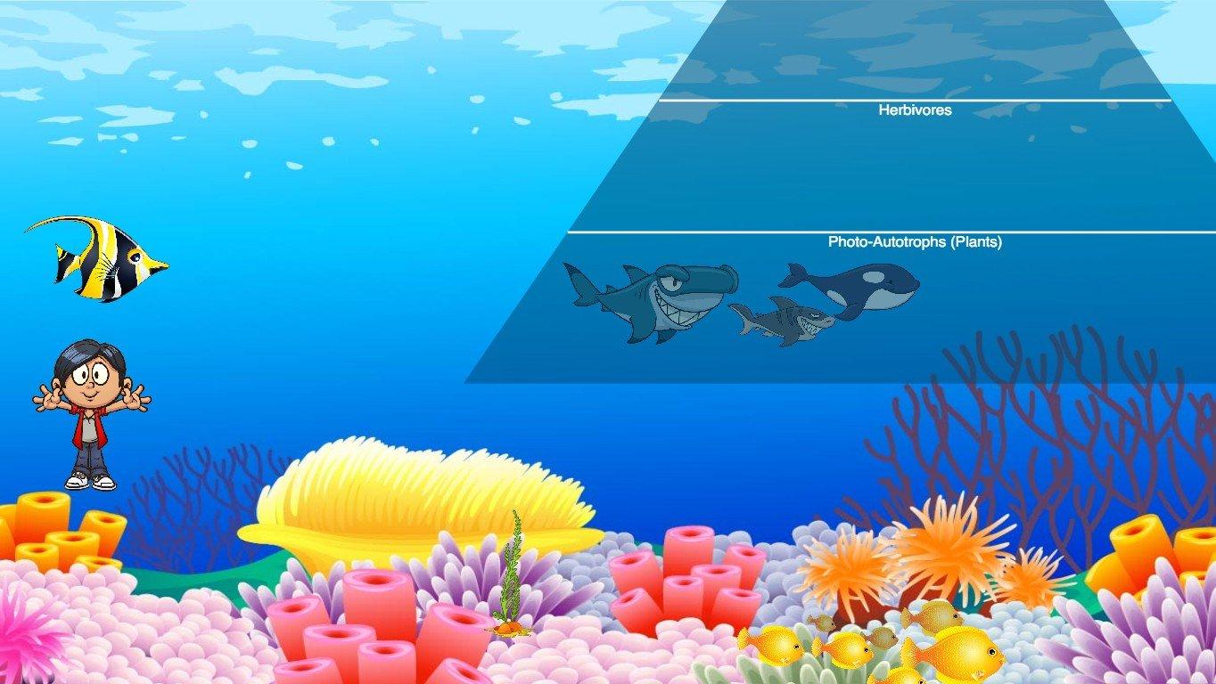 Ocean Ecological Pyramid - TEMPLATE