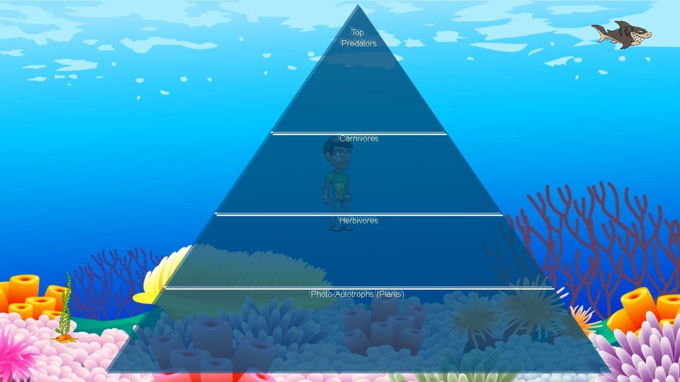 Ocean Ecological Pyramid - TEMPLATE