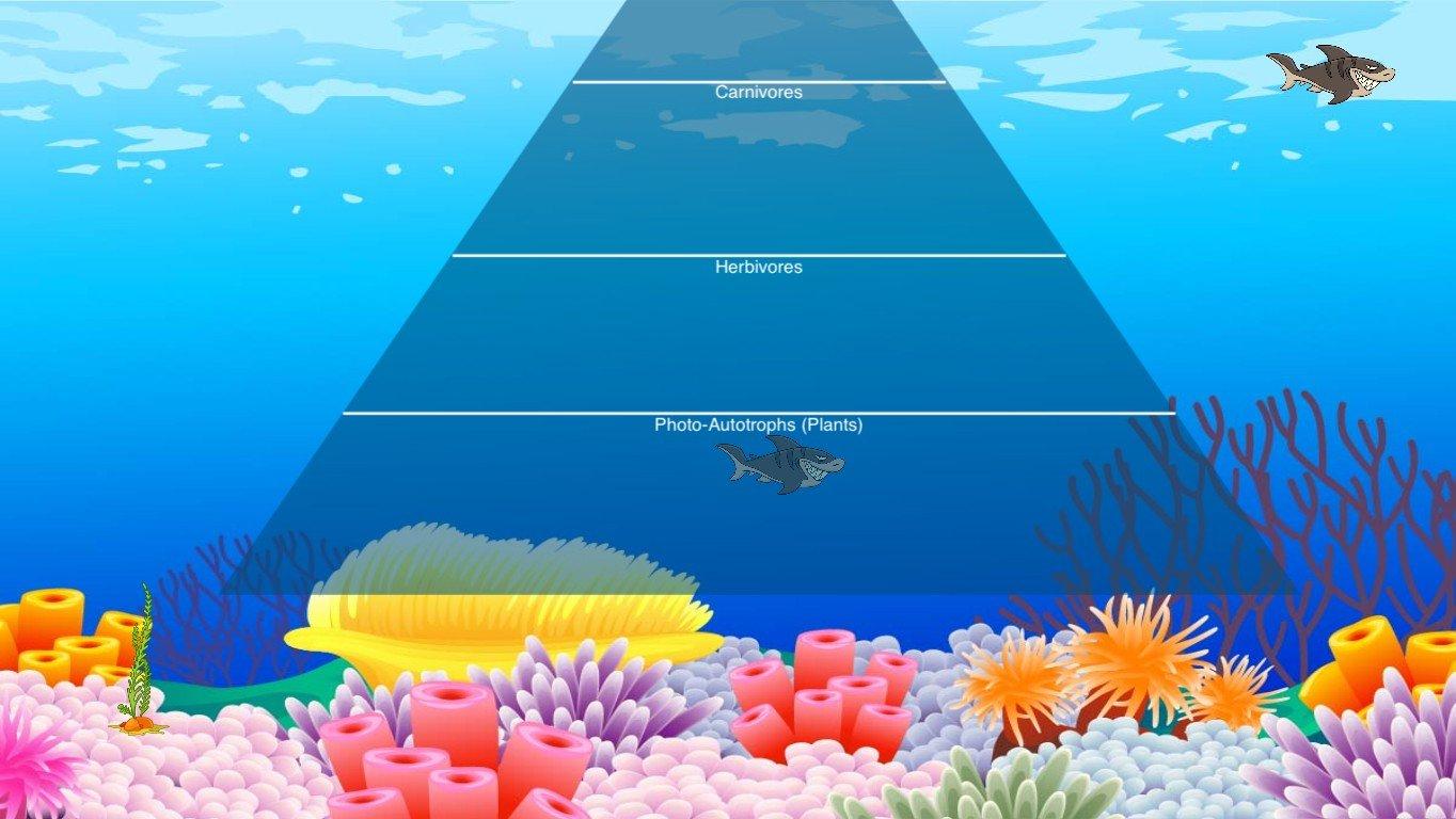 Ocean Ecological Pyramid - TEMPLATE