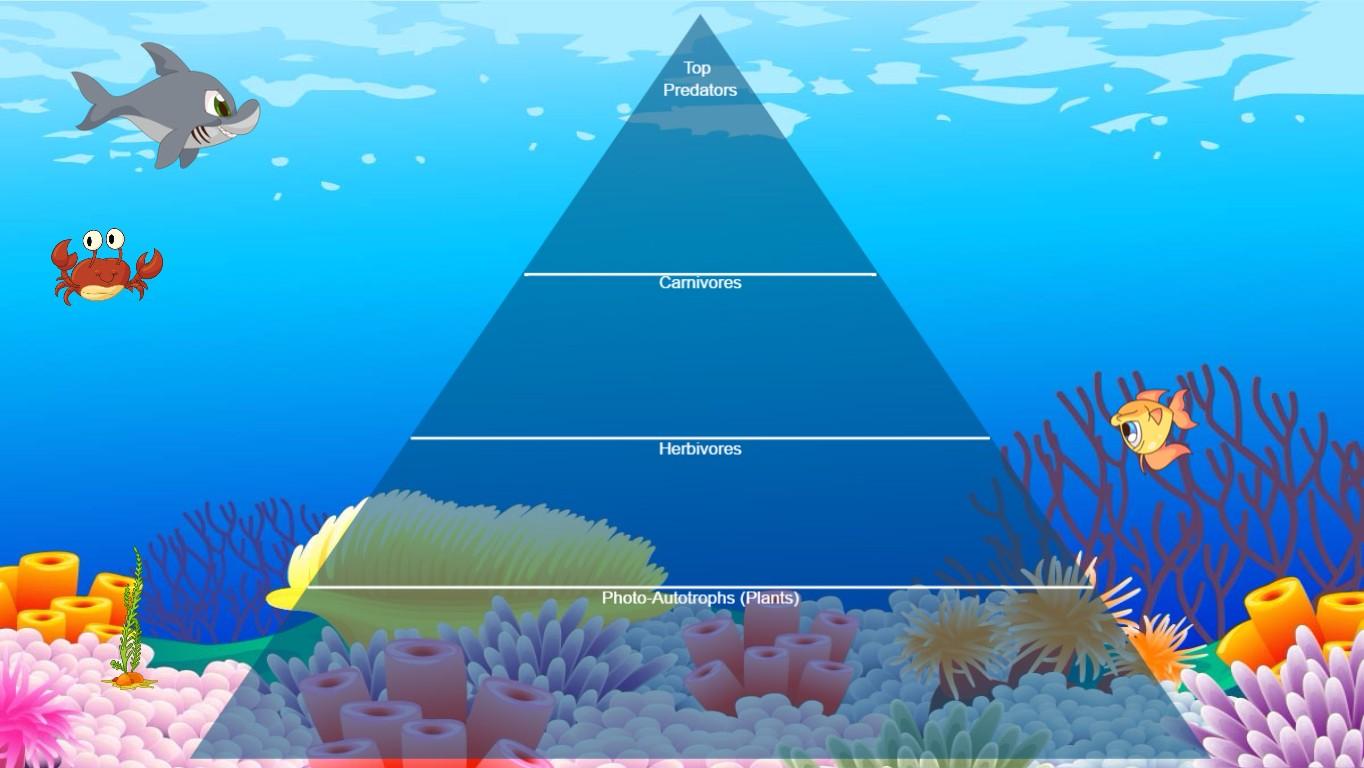 Ocean Ecological Pyramid - TEMPLATE