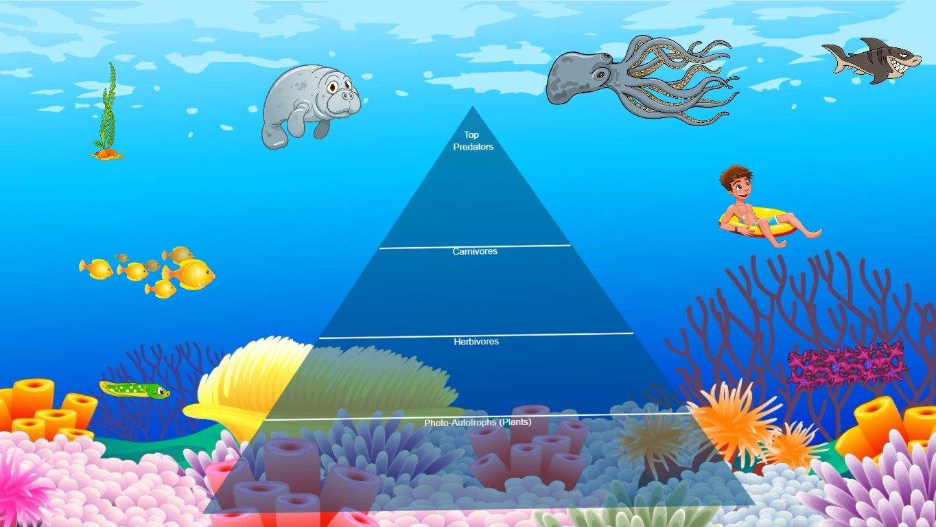 Ocean Ecological Pyramid - TEMPLATE