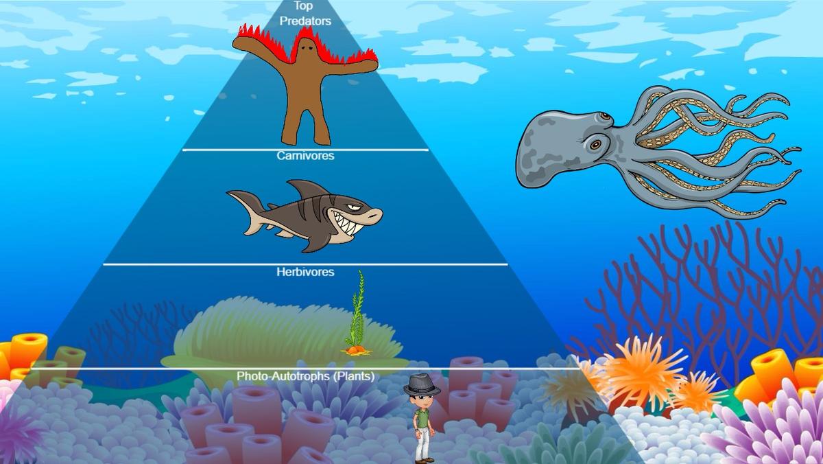 Ocean Ecological Pyramid - TEMPLATE