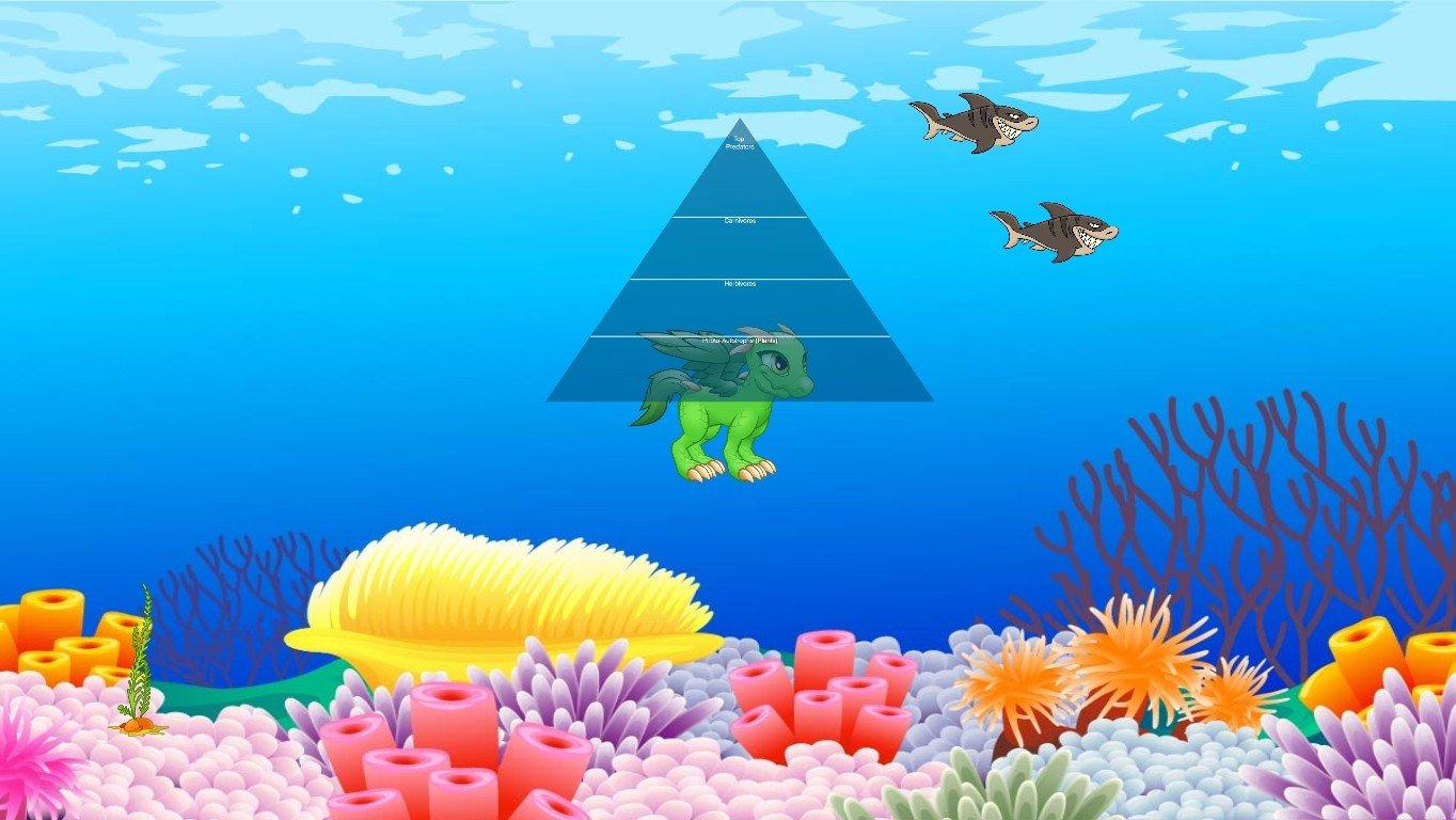 Ocean Ecological Pyramid - TEMPLATE