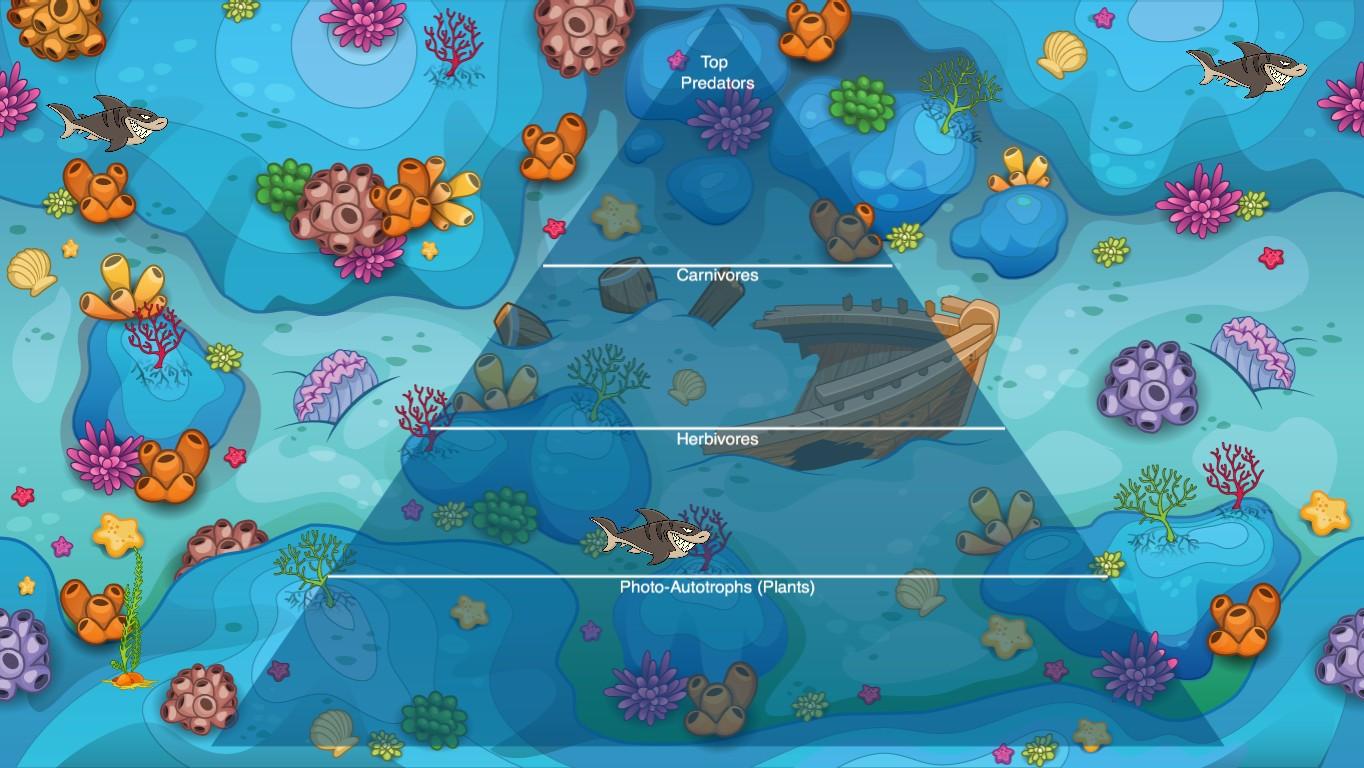 Ocean Ecological Pyramid - TEMPLATE